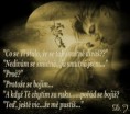 /album/fotogalerie-fotogalerie/a014-jpg/